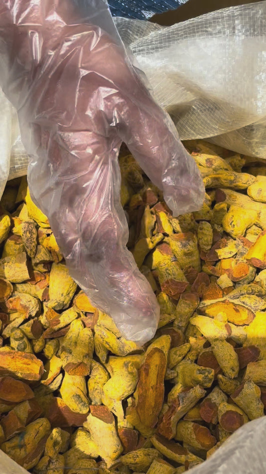 Turmeric Powder